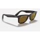 ORIGINAL WAYFARER CLASSIC
Lenses: Polarized Brown Classic B-15  +  Frame: Tortoise