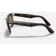 ORIGINAL WAYFARER CLASSIC
Lenses: Polarized Brown Classic B-15  +  Frame: Tortoise
