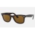 ORIGINAL WAYFARER CLASSIC
Lenses: Polarized Brown Classic B-15  +  Frame: Tortoise