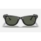 ORIGINAL WAYFARER CLASSIC
Lenses: Polarized Green Classic G-15  +  Frame: Black