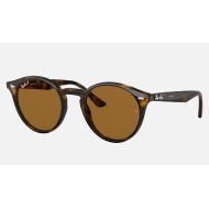 RB2180
Lenses: Polarized Brown Classic B-15  +  Frame: Tortoise