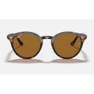 RB2180
Lenses: Polarized Brown Classic B-15  +  Frame: Tortoise