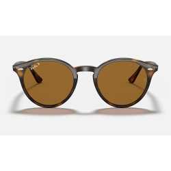 RB2180
Lenses: Polarized Brown Classic B-15  +  Frame: Tortoise