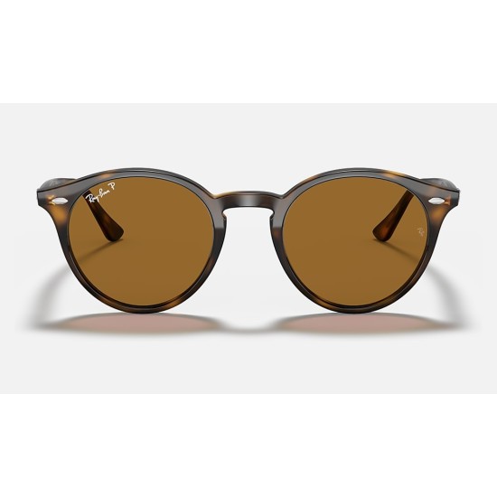 RB2180
Lenses: Polarized Brown Classic B-15  +  Frame: Tortoise
