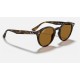 RB2180
Lenses: Polarized Brown Classic B-15  +  Frame: Tortoise
