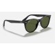 WAYFARER II CLASSIC
Lenses: Polarized Green Classic G-15  +  Frame: Black