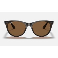 WAYFARER II CLASSIC
Lenses: Polarized Brown Classic B-15  +  Frame: Spotted Havana