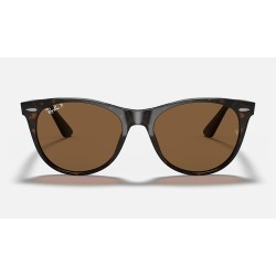 WAYFARER II CLASSIC
Lenses: Polarized Brown Classic B-15  +  Frame: Spotted Havana