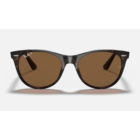 WAYFARER II CLASSIC
Lenses: Polarized Brown Classic B-15  +  Frame: Spotted Havana