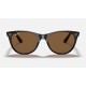 WAYFARER II CLASSIC
Lenses: Polarized Brown Classic B-15  +  Frame: Spotted Havana