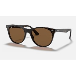 WAYFARER II CLASSIC
Lenses: Polarized Brown Classic B-15  +  Frame: Spotted Havana