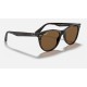 WAYFARER II CLASSIC
Lenses: Polarized Brown Classic B-15  +  Frame: Spotted Havana