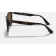 WAYFARER II CLASSIC
Lenses: Polarized Brown Classic B-15  +  Frame: Spotted Havana