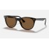 WAYFARER II CLASSIC
Lenses: Polarized Brown Classic B-15  +  Frame: Spotted Havana