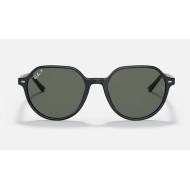 Thalia
Lenses: Polarized Green Classic G-15  +  Frame: Black