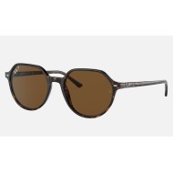 THALIA
Lenses: Polarized Green Classic G-15  +  Frame: Tortoise