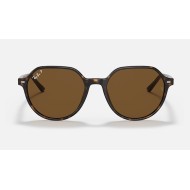 THALIA
Lenses: Polarized Green Classic G-15  +  Frame: Tortoise