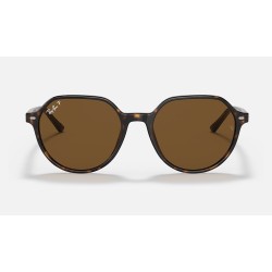 THALIA
Lenses: Polarized Green Classic G-15  +  Frame: Tortoise