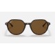 THALIA
Lenses: Polarized Green Classic G-15  +  Frame: Tortoise