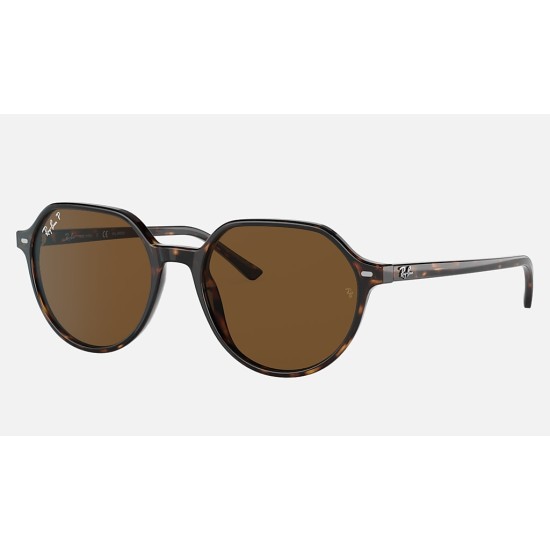 THALIA
Lenses: Polarized Green Classic G-15  +  Frame: Tortoise