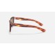 Caribbean
Lenses: Polarized Brown Classic B-15  +  Frame: Striped Havana