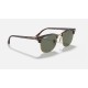 CLUBMASTER CLASSIC
Lenses: Polarized Green Classic G-15  +  Frame: Tortoise