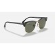 CLUBMASTER CLASSIC
Lenses: Polarized Green Classic G-15  +  Frame: Black