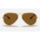AVIATOR CLASSIC
Lenses: Polarized Brown Classic B-15  +  Frame: Gold