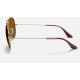 AVIATOR CLASSIC
Lenses: Polarized Brown Classic B-15  +  Frame: Gold