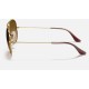 AVIATOR GRADIENT
Lenses: Polarized Brown Gradient  +  Frame: Gold