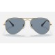 Aviator Mickey WDW50
Lenses: Polarized Blue/Silver Classic  +  Frame: Gold