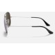 AVIATOR MIRROR
Lenses: Polarized Silver Mirror  +  Frame: Silver