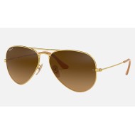 AVIATOR GRADIENT
Lenses: Polarized Brown Gradient  +  Frame: Gold