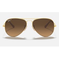 AVIATOR GRADIENT
Lenses: Polarized Brown Gradient  +  Frame: Gold