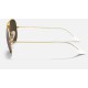 AVIATOR FLASH LENSES
Lenses: Polarized Silver Mirror  +  Frame: Gold