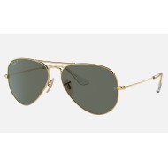 AVIATOR SOLID GOLD
Lenses: Polarized Green Classic G-15  +  Frame: Gold