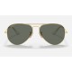 AVIATOR SOLID GOLD
Lenses: Polarized Green Classic G-15  +  Frame: Gold