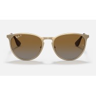 ERIKA METAL
Lenses: Polarized Brown Gradient  +  Frame: Gold