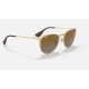 ERIKA METAL
Lenses: Polarized Brown Gradient  +  Frame: Gold