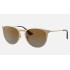 ERIKA METAL
Lenses: Polarized Brown Gradient  +  Frame: Gold