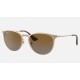 ERIKA METAL
Lenses: Polarized Brown Gradient  +  Frame: Gold