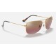 RB3543 CHROMANCE
Lenses: Polarized Purple Chromance Mirror  +  Frame: Gold