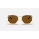 HEXAGONAL FLAT LENSES
Lenses: Polarized Brown Classic  +  Frame: Gold
