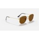 HEXAGONAL FLAT LENSES
Lenses: Polarized Brown Classic  +  Frame: Gold
