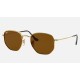 HEXAGONAL FLAT LENSES
Lenses: Polarized Brown Classic  +  Frame: Gold