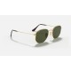 HEXAGONAL FLAT LENSES
Lenses: Polarized Green Classic G-15  +  Frame: Gold