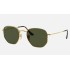 HEXAGONAL FLAT LENSES
Lenses: Polarized Green Classic G-15  +  Frame: Gold