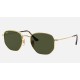 HEXAGONAL FLAT LENSES
Lenses: Polarized Green Classic G-15  +  Frame: Gold
