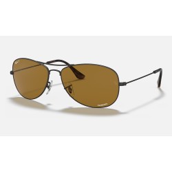 RB3562 CHROMANCE
Lenses: Polarized Brown Classic  +  Frame: Gunmetal