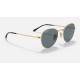 DAVID
Lenses: Polarized Blue Classic  +  Frame: Gold